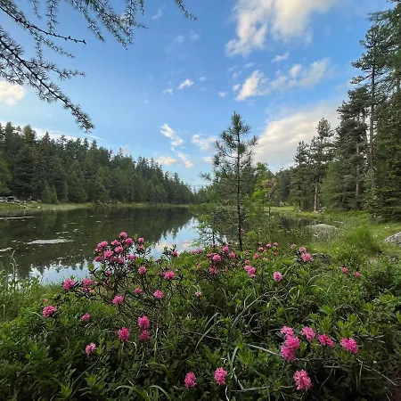 Chesa Munteratsch 2-zimmerwohnung 101 Typ E Apartment Silvaplana