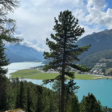 Chesa Munteratsch 2-zimmerwohnung 101 Typ E * Silvaplana