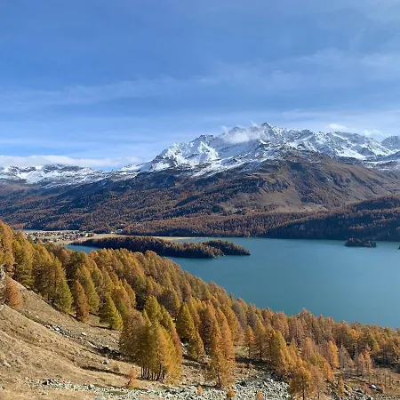 Chesa Munteratsch 2-zimmerwohnung 101 Typ E *