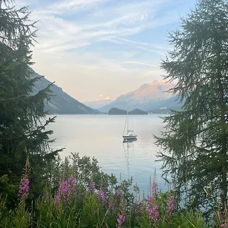 Apartment Chesa Munteratsch 2-zimmerwohnung 101 Typ E Silvaplana