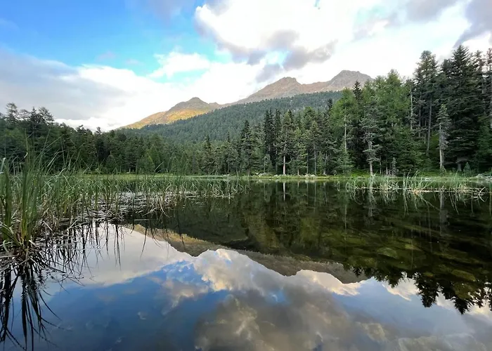 Apartamento Chesa Munteratsch 2-zimmerwohnung 101 Typ E