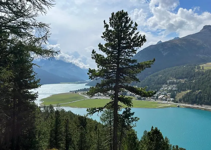 Chesa Munteratsch 2-zimmerwohnung 101 Typ E * Silvaplana