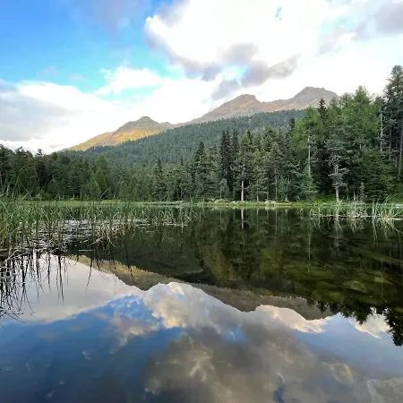 Apartment Chesa Munteratsch 2-zimmerwohnung 101 Typ E