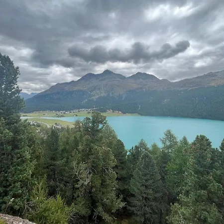 Apartment Chesa Munteratsch 2-zimmerwohnung 101 Typ E Silvaplana