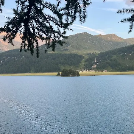 Apartment Chesa Munteratsch 2-zimmerwohnung 101 Typ E Silvaplana