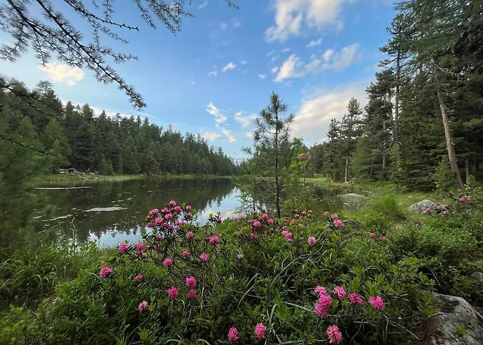 Chesa Munteratsch 2-zimmerwohnung 101 Typ E Appartement Silvaplana