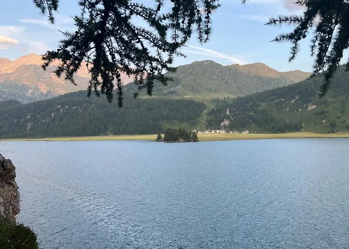 Appartement Chesa Munteratsch 2-zimmerwohnung 101 Typ E Silvaplana